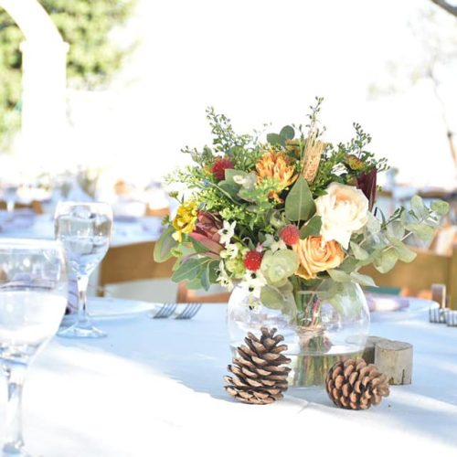 469272223_1107178774356758_7601012842451414047_n