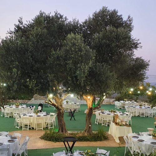 469306840_1107723927635576_2063211592170005109_n