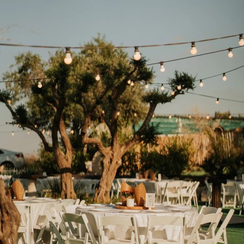 480250089_936567401919668_8330732718508001780_n