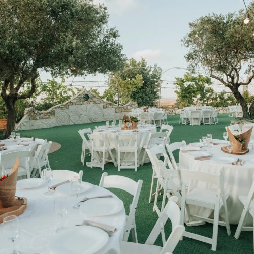 480256186_936567595252982_4086932716562226094_n